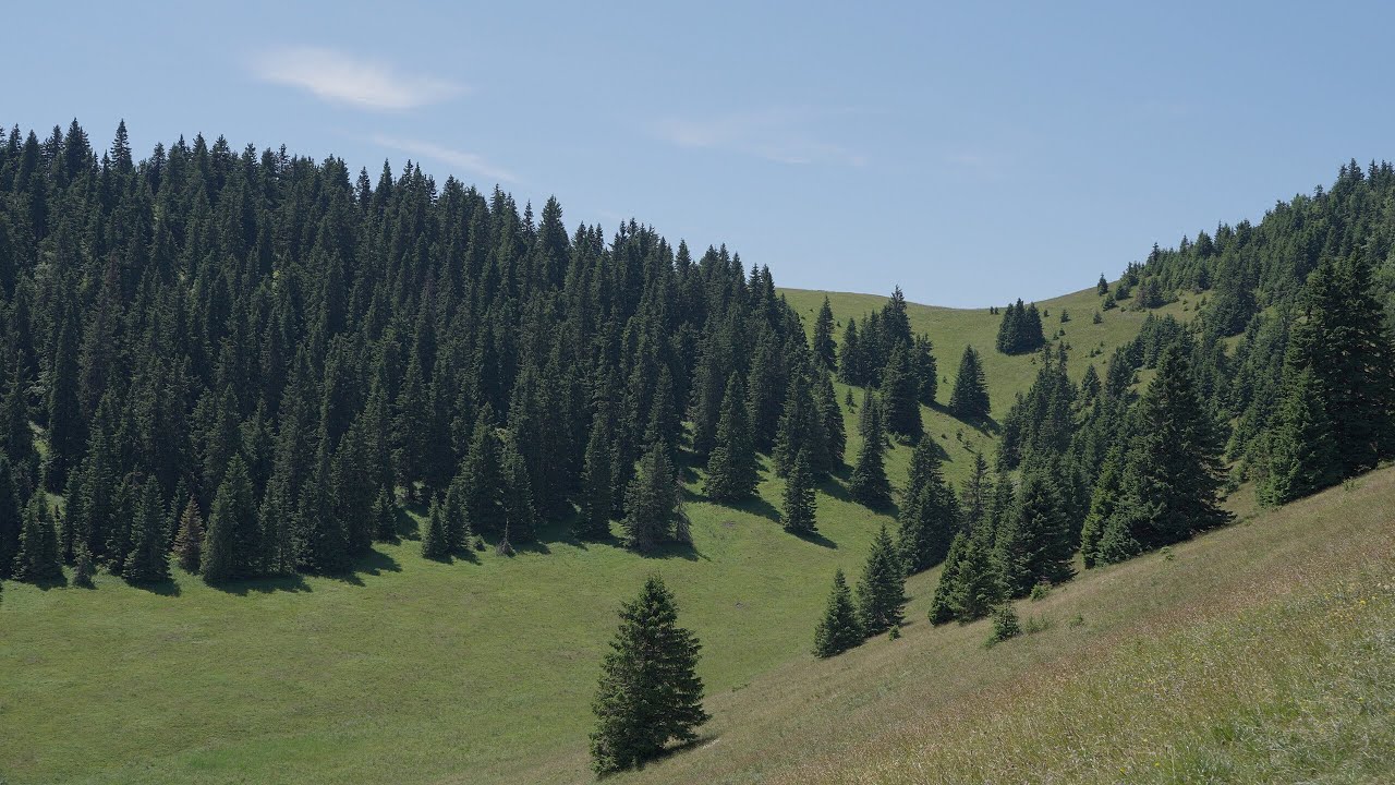 Podsuchá - Horný Harmanec (Veľká Fatra - Júl 2025)