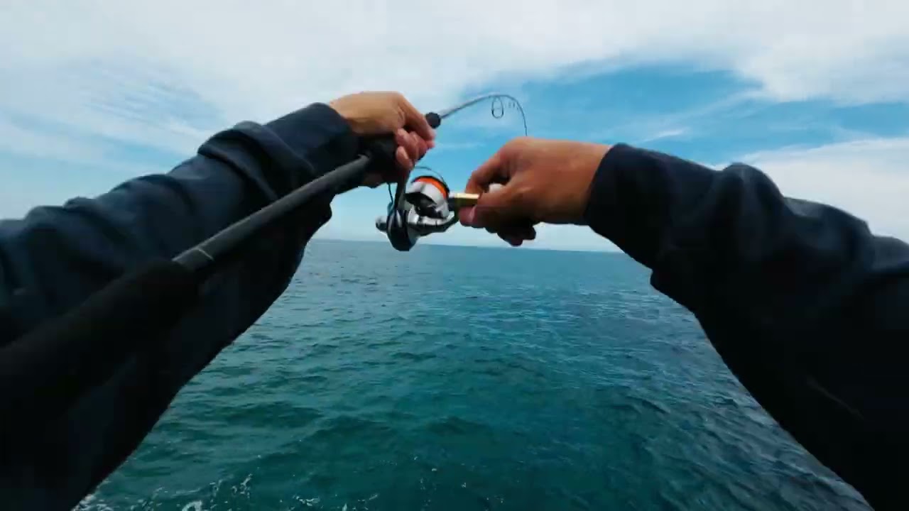 Slow jigging nsw rock ledge #rockfishing #jigging 