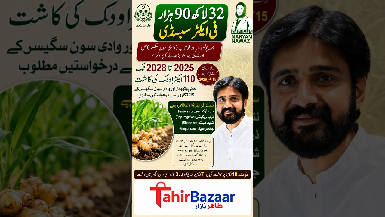CM Punjab Ginger Crop Subsidy 2026 Registration Update | Step By Step Apply Online at Tahir Bazaar