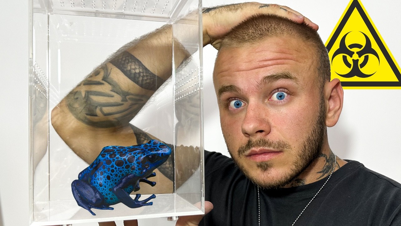 ❌DOTKNIESZ - UMRZESZ❌ NIE DOTYKAJ‼️