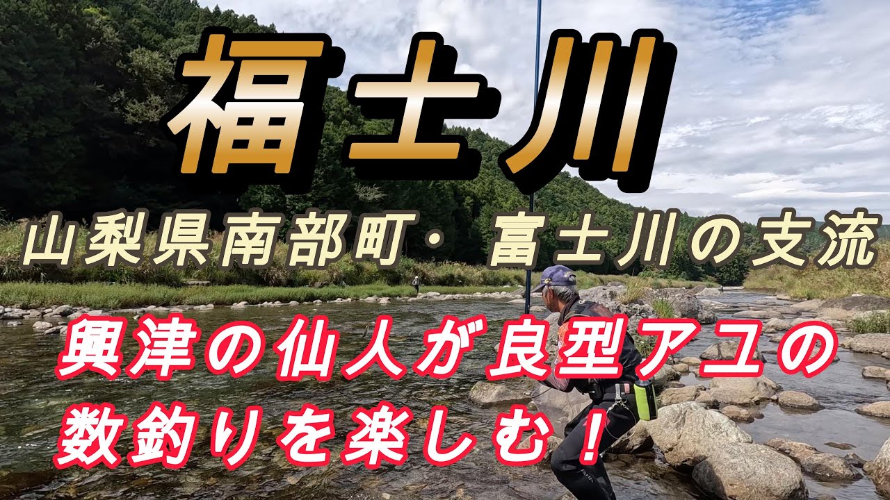 山梨県・福士川でのアユ釣り～興津の仙人こと石垣名人が良型の数を揃える