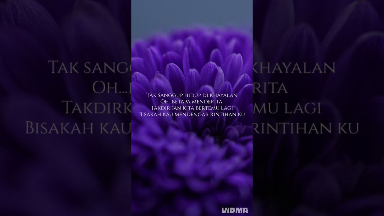 PUTERI DARI KAYANGAN by M.TAHIR  (Rock version)-OFFICIAL LYRIC VIDEO 