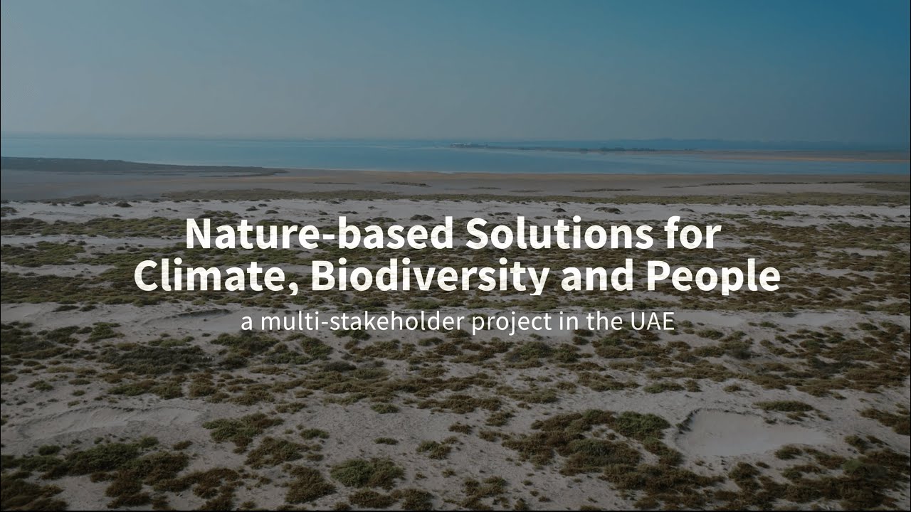 Nature-based Solutions for Climate, Biodiversity and People: a multi-stakeholder project in the UAE