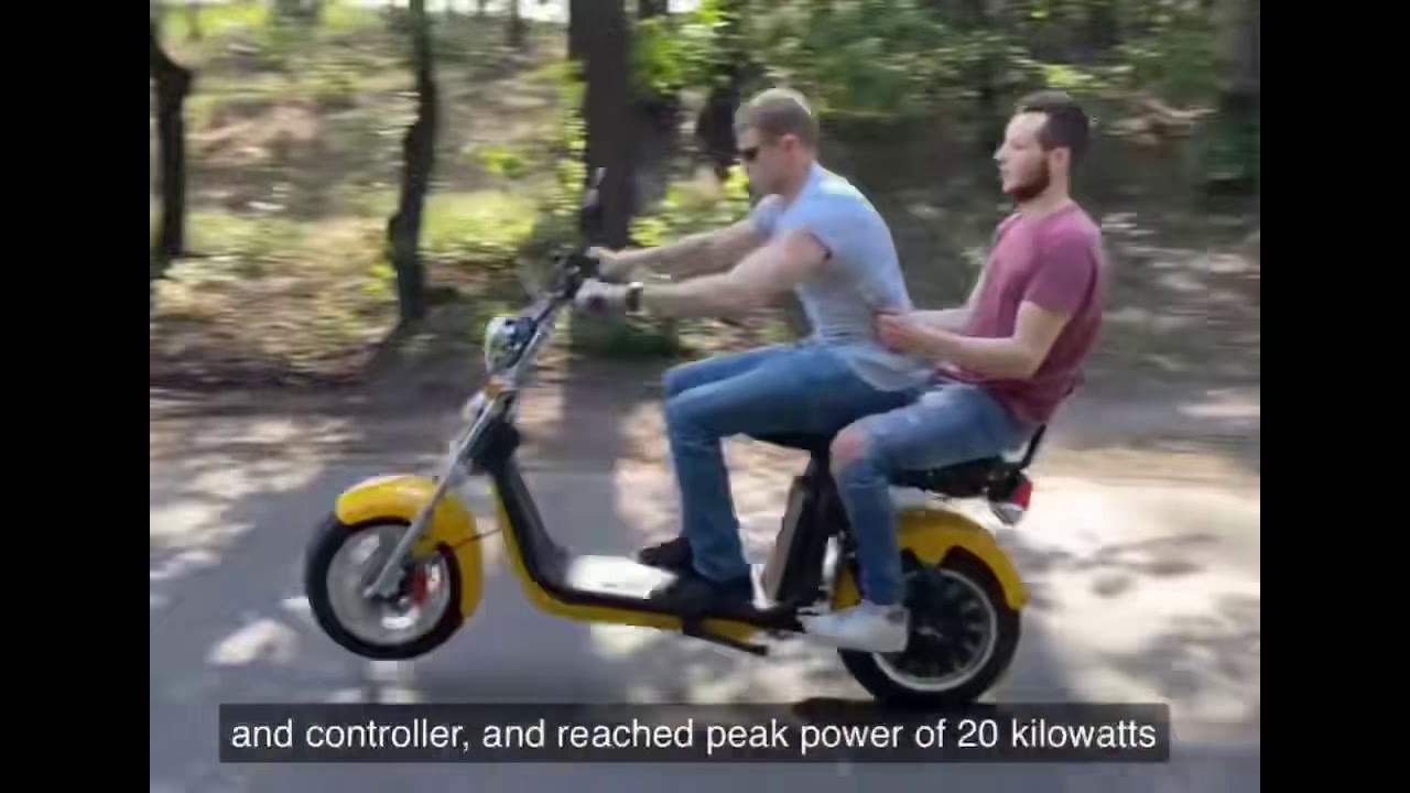 LEE SCOOTERBIKE LIMITED for M1 model eec and COC certificates electric Citycoco scooter 2000W/3000W
