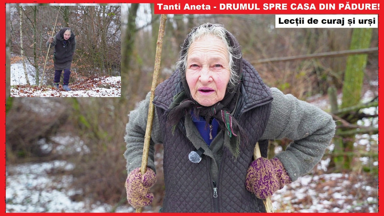 Tanti Aneta - Drumul spre CASA din mijlocul pădurii! | Lecții de CURAJ | Singurătate și urși