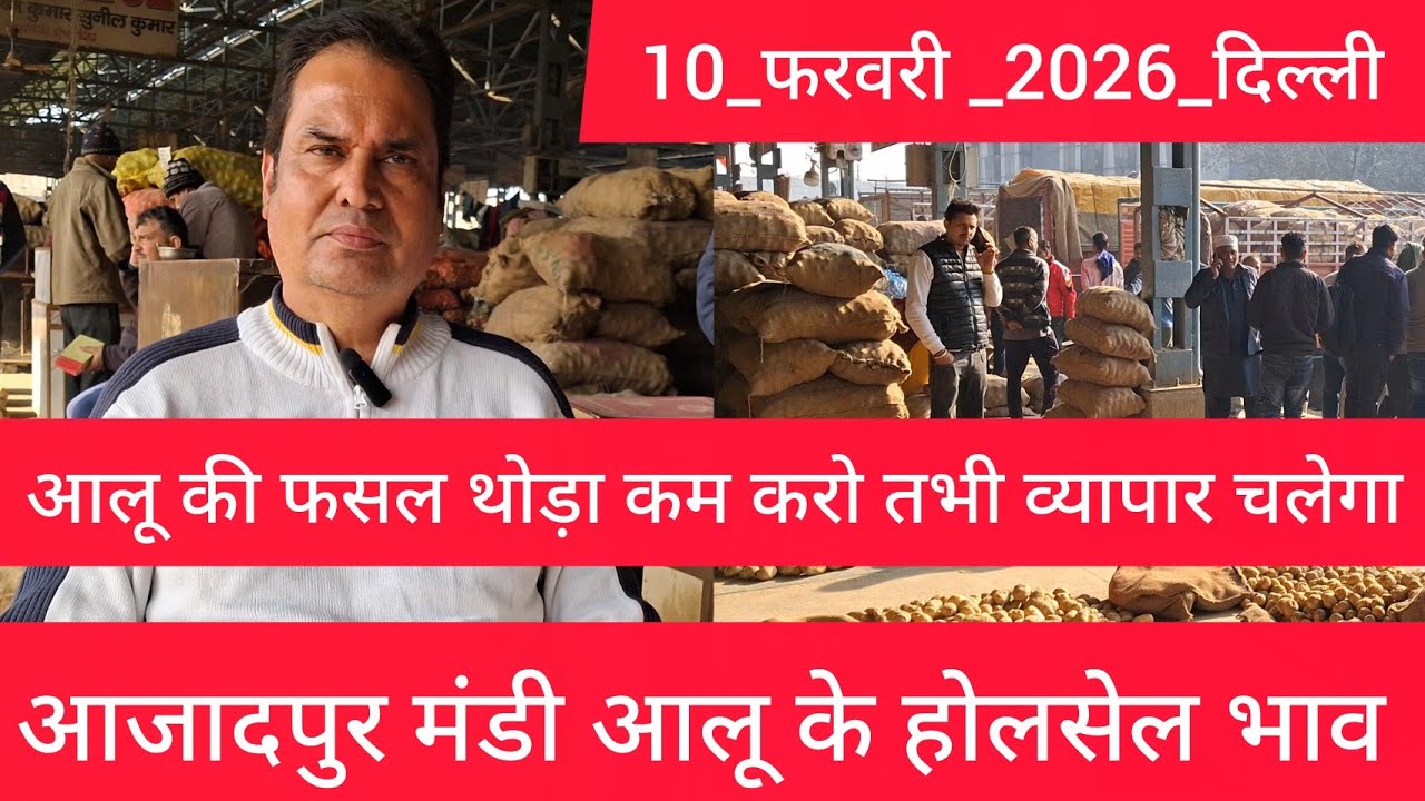 February 10, 2026 दिल्ली 🥔आलू के भाव Azadpur Delhi mandi today #PotatoMarket #delhipotatomarket 