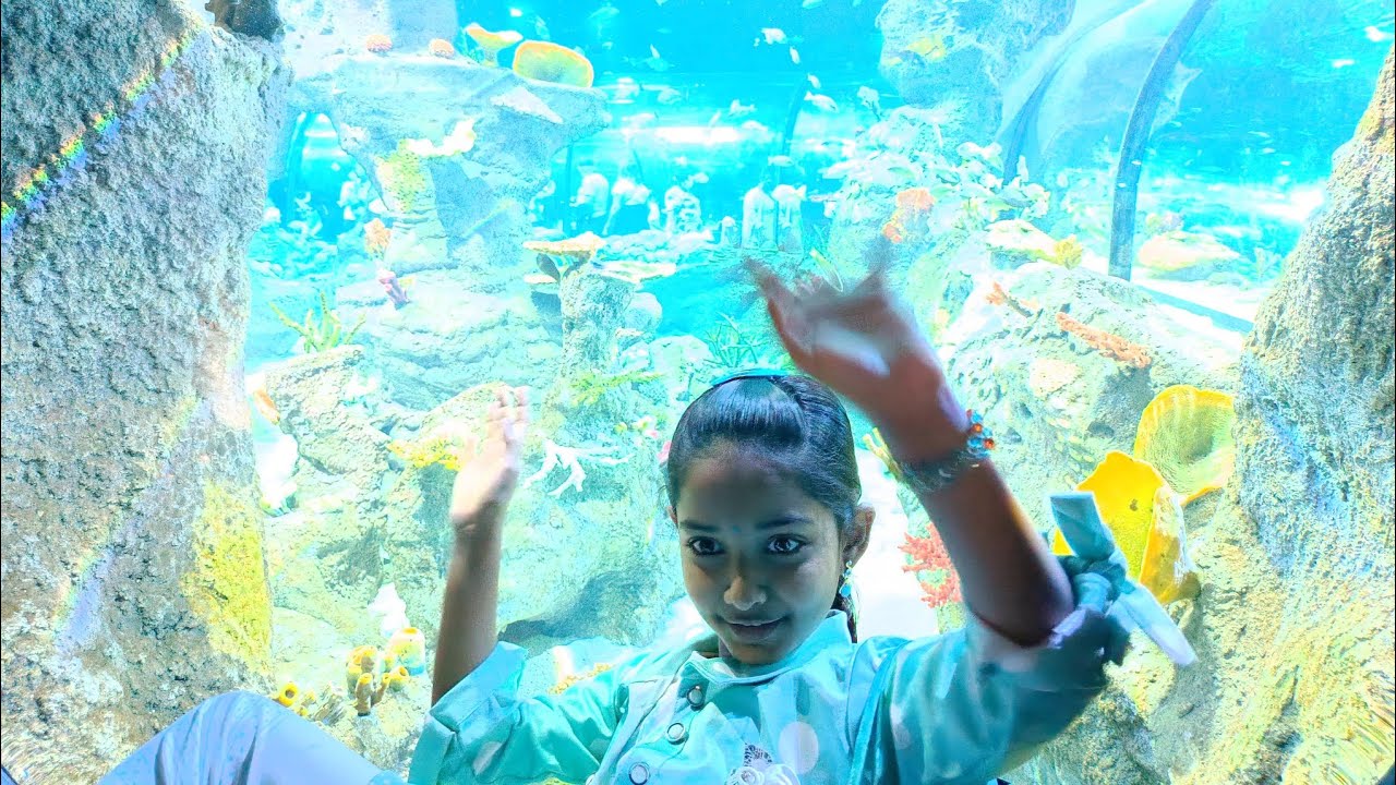 Odysseo Aquarium | Mauritius Vlogs