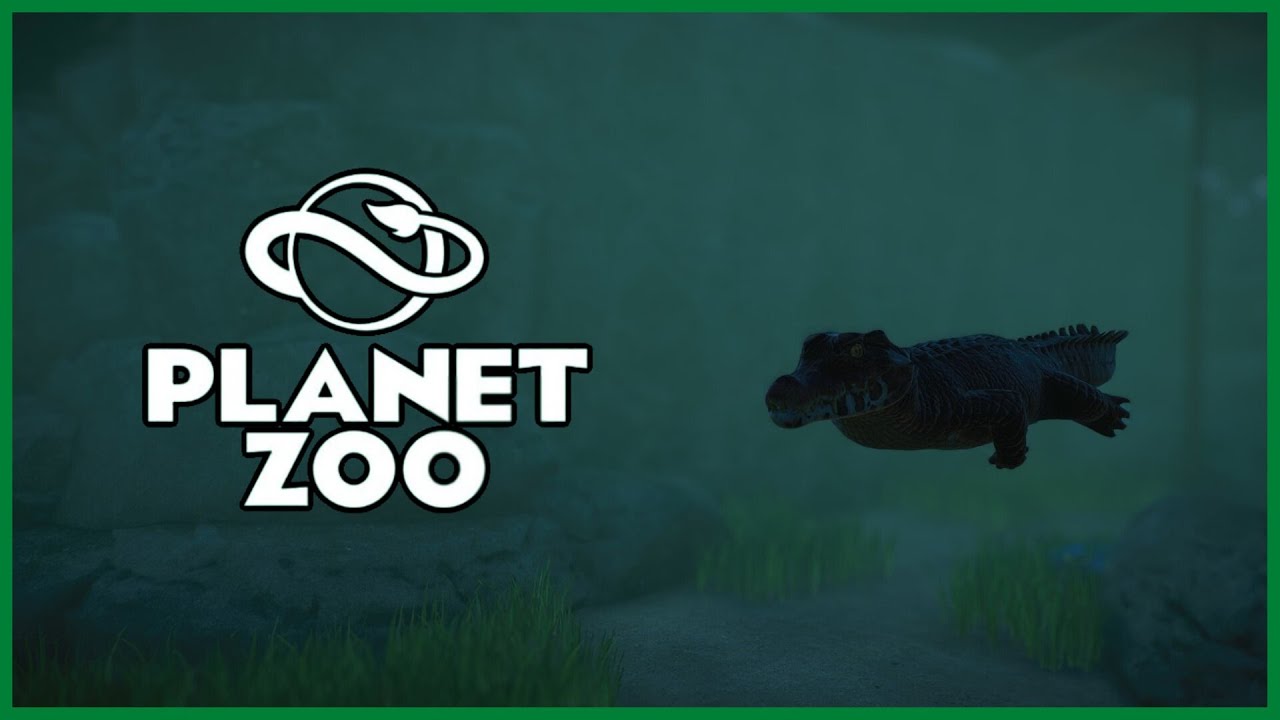 Planet Zoo 🌍 #47 - Stein auf Stein [Deutsch│Alle DLCs]