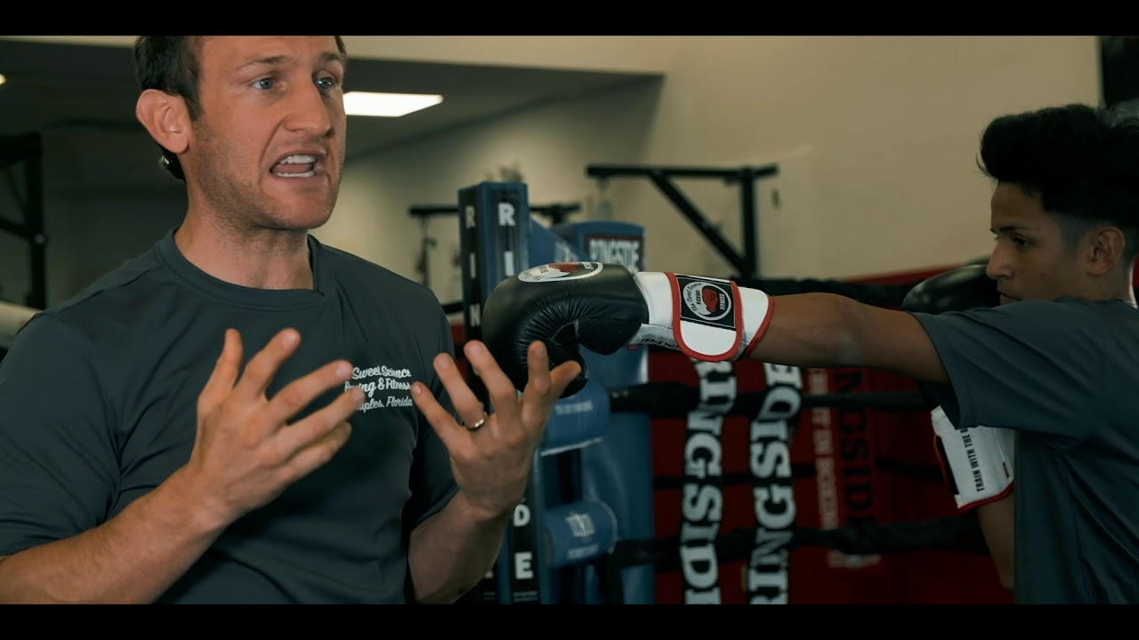 Boxing Defense (How to duck, slip, and roll opponents punches)