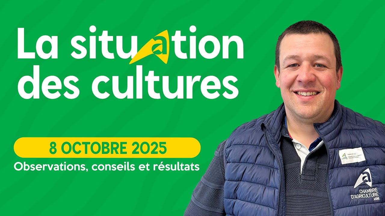 Situation des cultures du 8 octobre