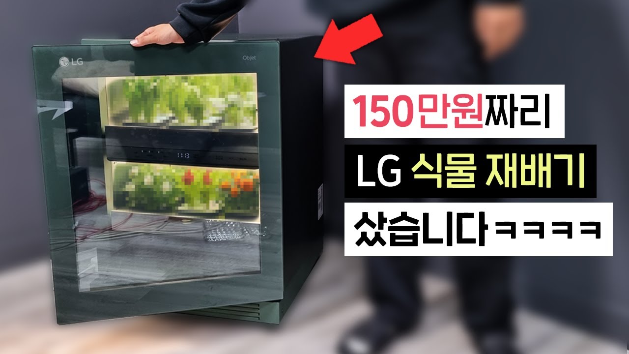LG가 출시한 식물 재배기, 내돈내산 해버렸습니다.. 틔운 개봉기