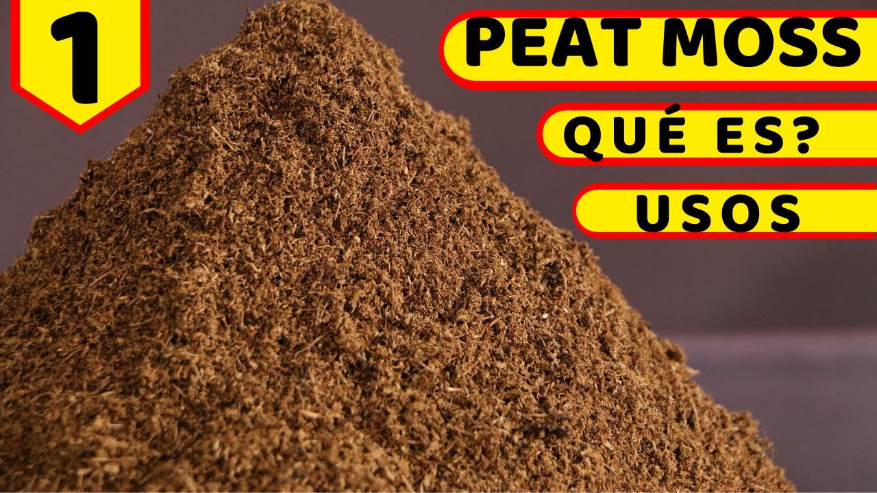 Serie: Tipos de Tierra o Sustrato [ PEAT MOSS ] || HUERTO CITADINO