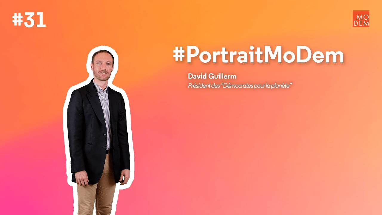Portrait MoDem #31 | David Guillerm