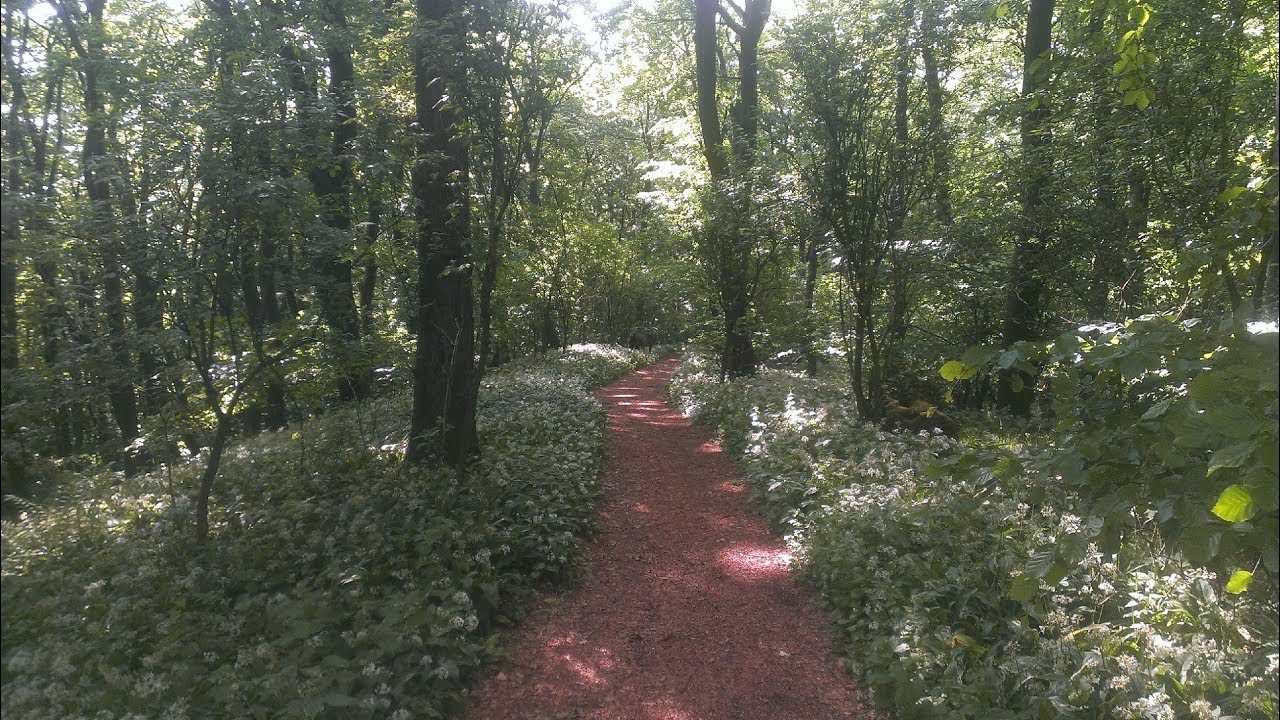 Hermannsweg - Wandern - Teutoburger Wald