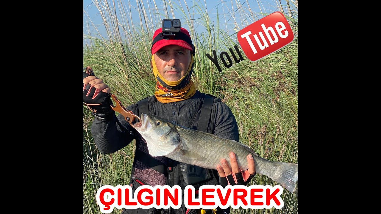 3 KİLOLUK DEV LEVREK İLE MÜCADELE (Osaka Caridina C007 - C027 )
