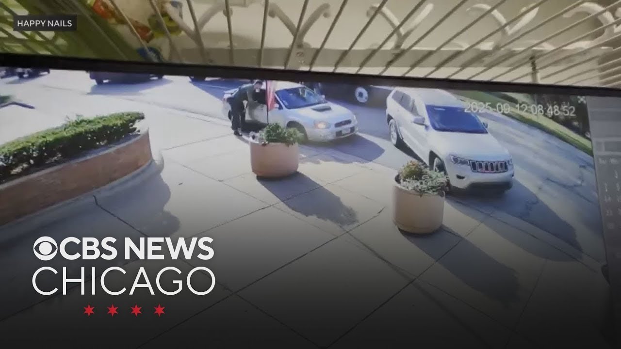 Surveillance videos capture deadly ICE shooting in Franklin Park, Illinois
