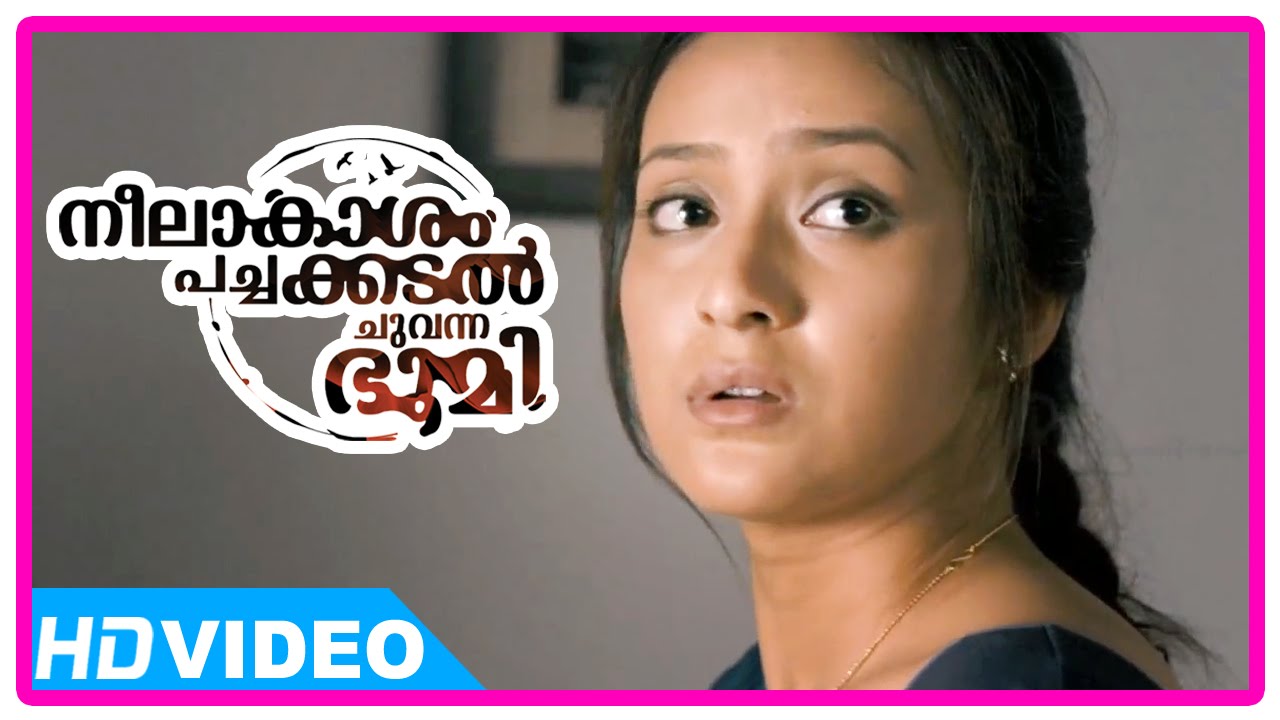 Neelakasham Pachakadal Chuvanna Bhoomi Movie | Scenes | Surja Bala leaves to Nagaland | Dulquer
