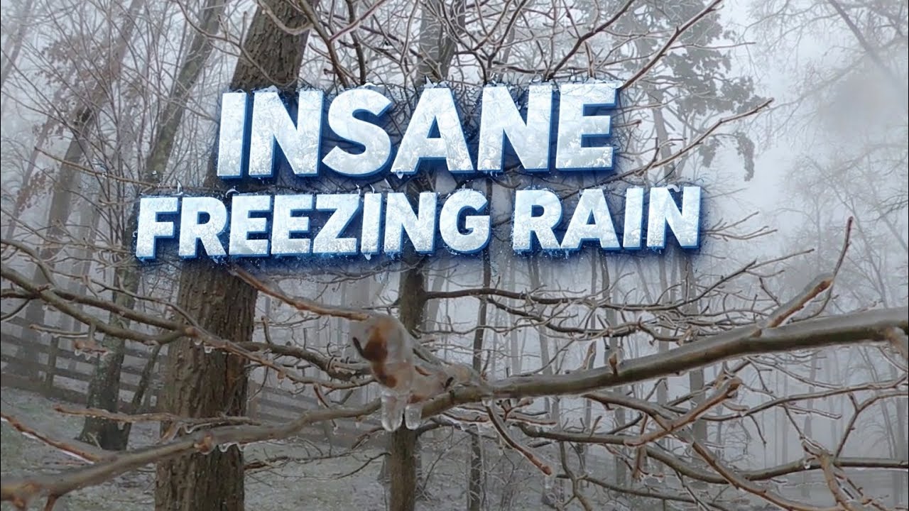 This Winter Storm Is Out Of Hand
