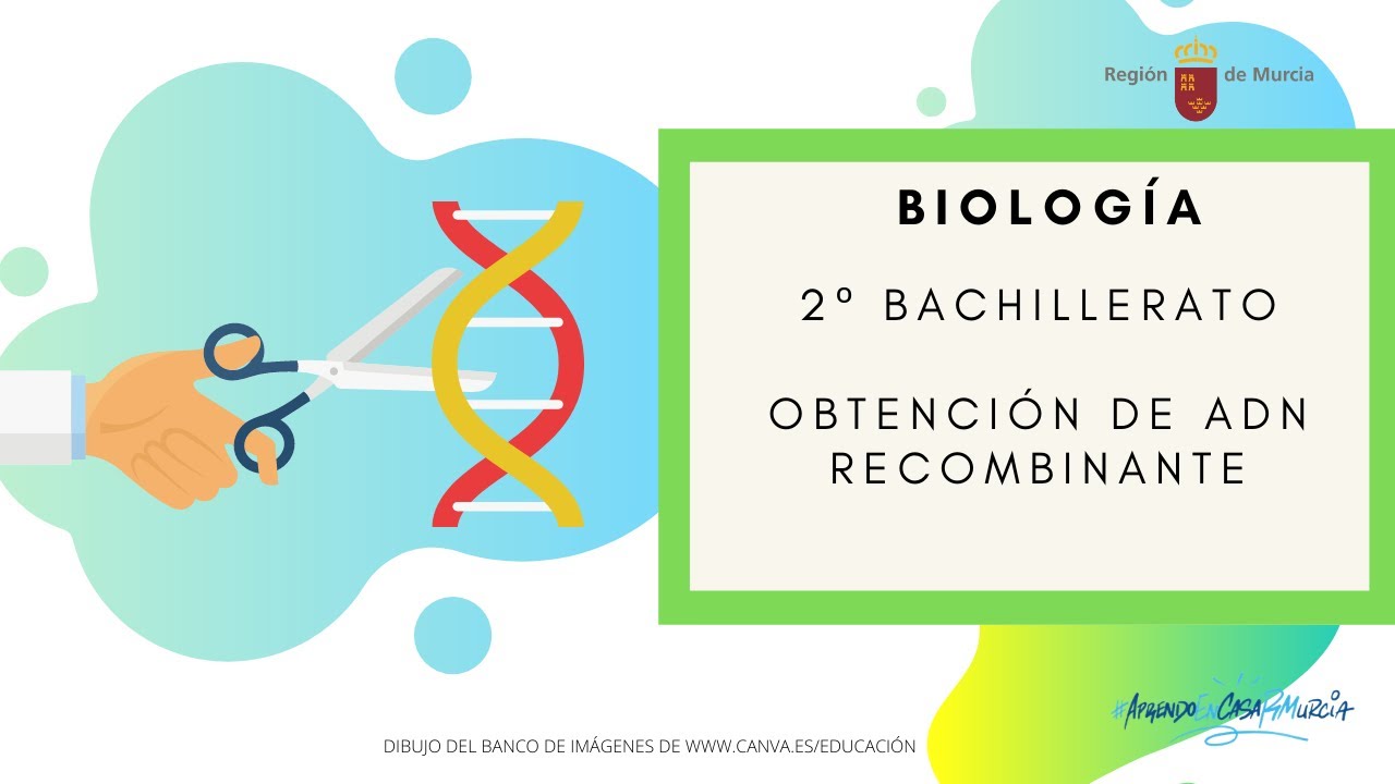 OBTENCI&Oacute;N DE ADN RECOMBINANTE