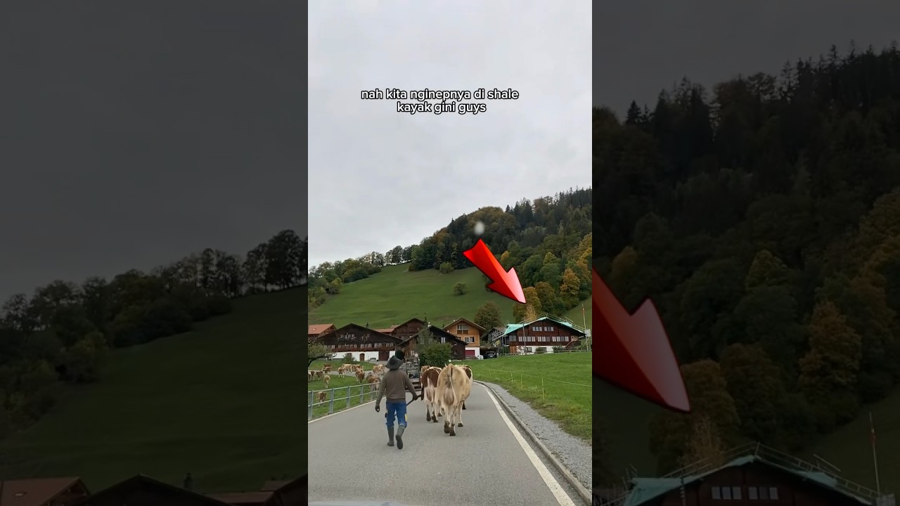 Airbnb kita di Swiss 🇨🇭| Vlog Liburan Eropa #liburaneropa #swiss #liburanswiss