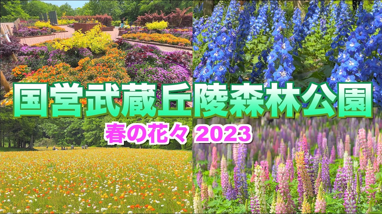 【【国営武蔵丘陵森林公園2023】【春の花々】【埼玉県　滑川市】／4K／Musashi-kyuryo National Goverment Park／Spring flowers