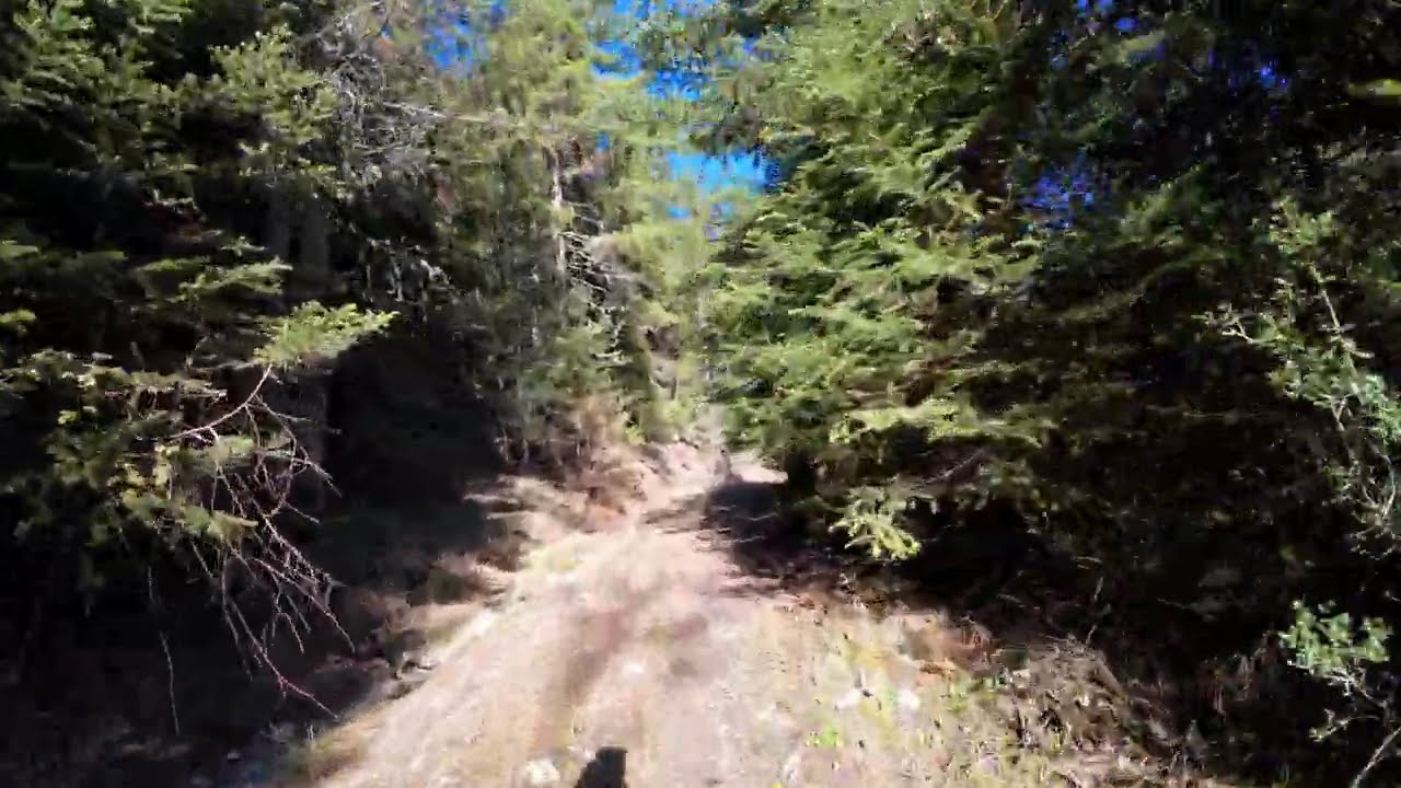 Mountain Bike Διαδρομή στον Πάρνωνα | Πλατύ Ποτάμι
