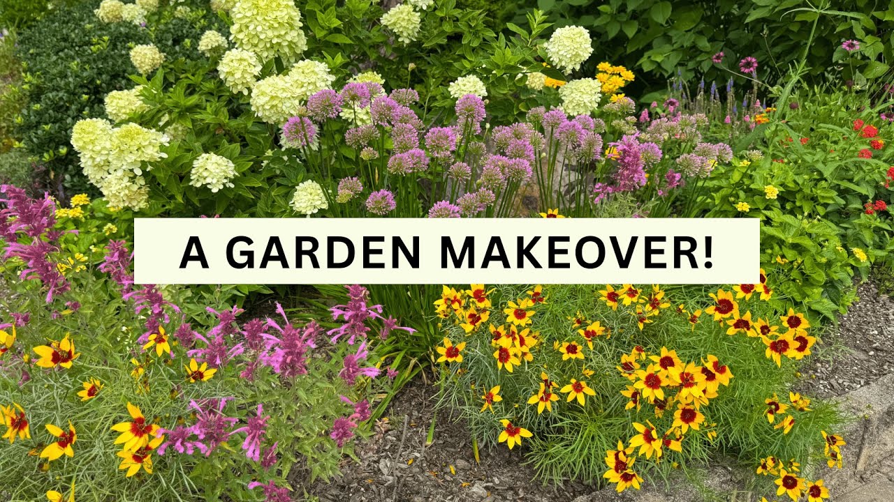 Garden Makeover: The 