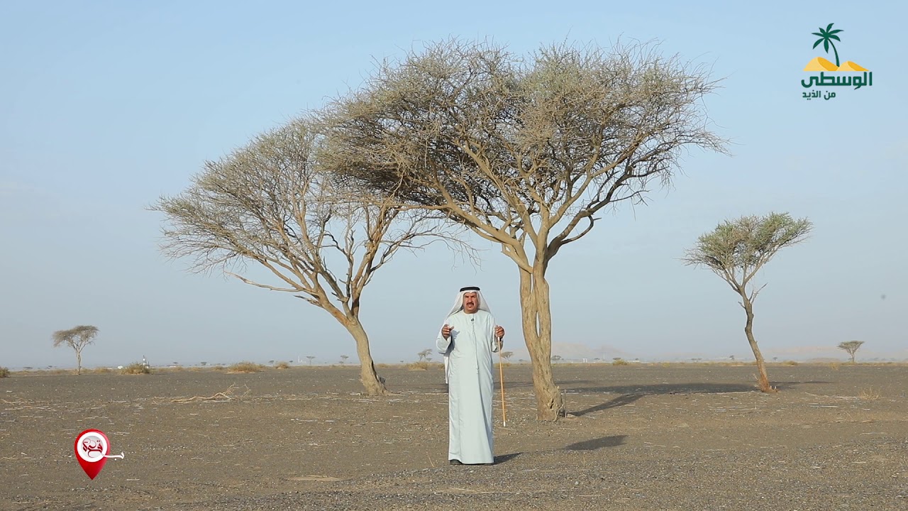 بقعة - غلان السليل