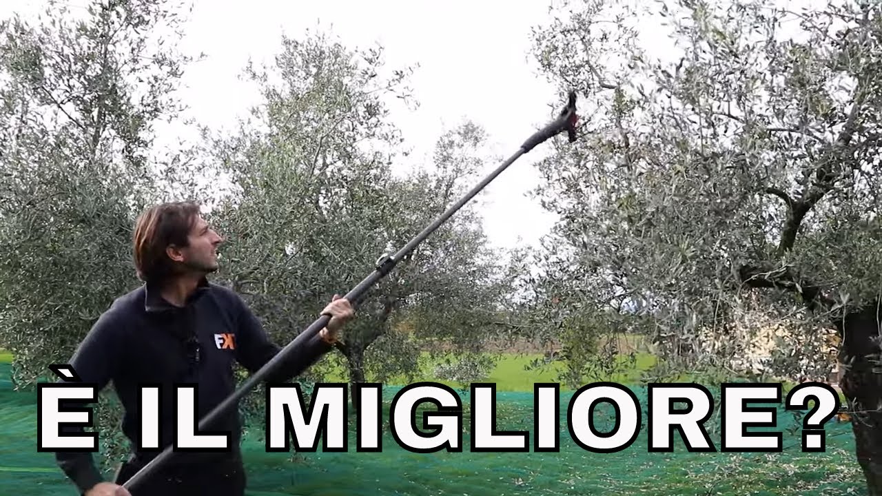 Raccolta olive con Castellari vertigo carbon L 30v