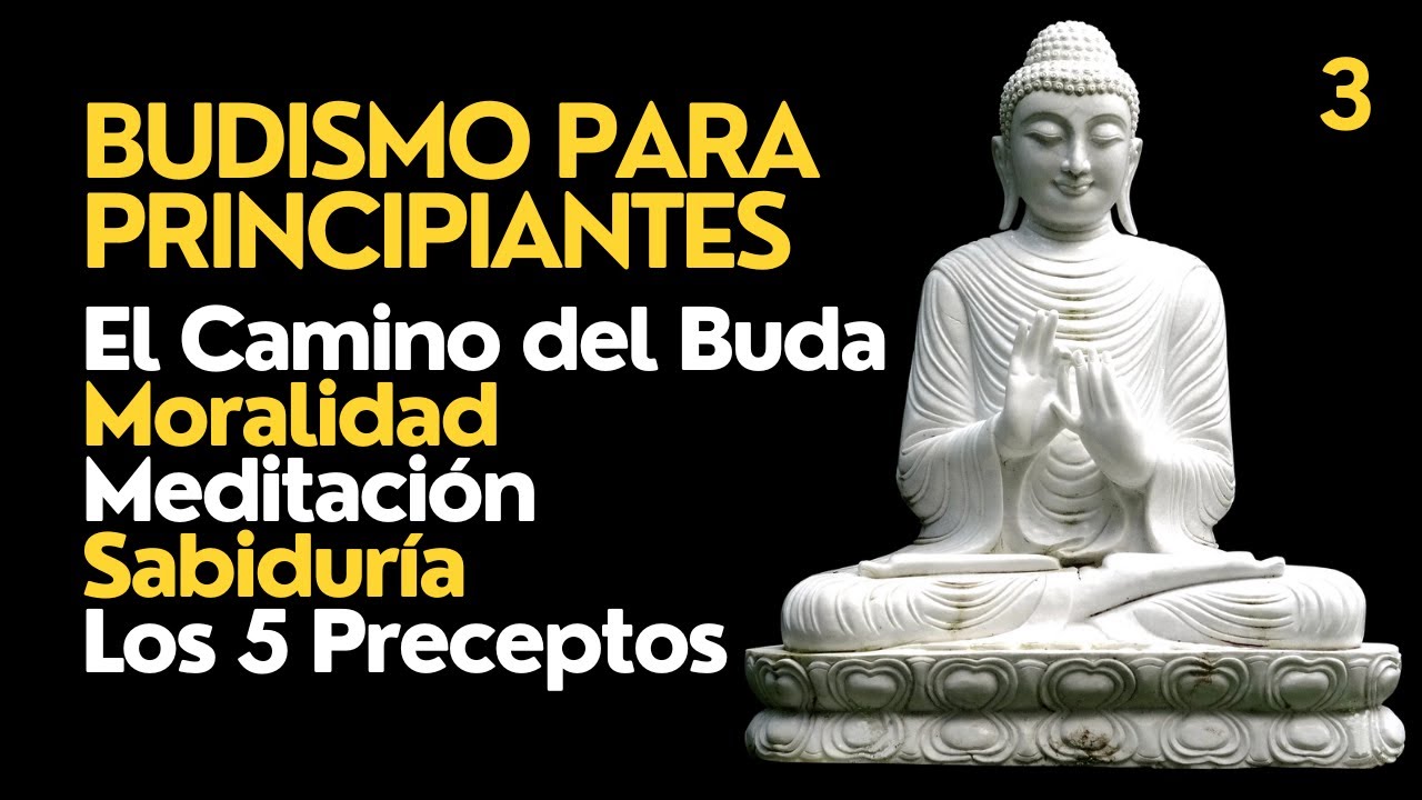 ☸️ Budismo para Principiantes | El Camino del Buda | Moralidad, Meditación,  Sabiduría y 5 Preceptos