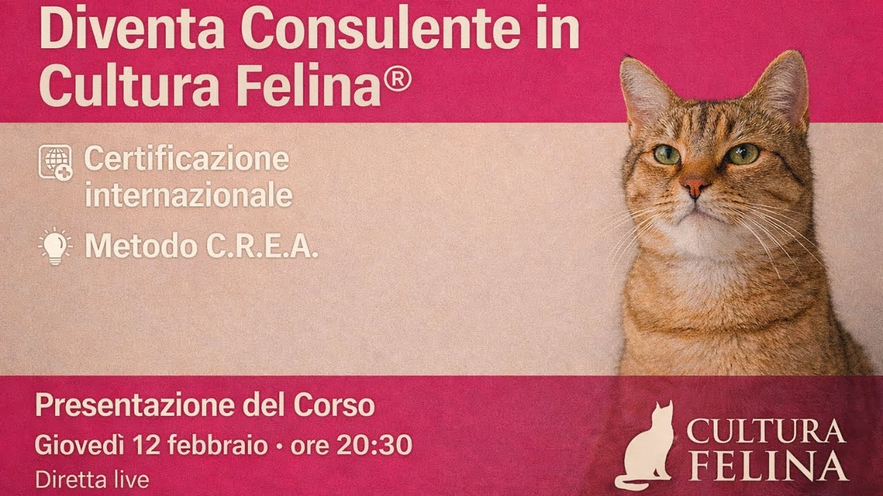 Diretta di orientamento al percorso Consulente in Cultura Felina®