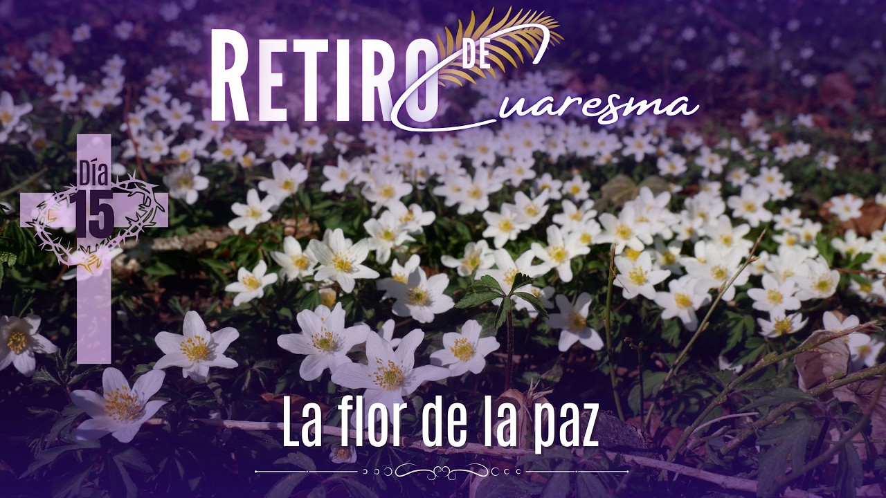 4 de marzo de 2026 | Día 15: “La flor de la paz”