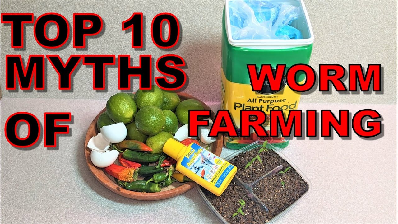 Top 10 Myths and Truths of Worm Farming- ENC Bin Feeding