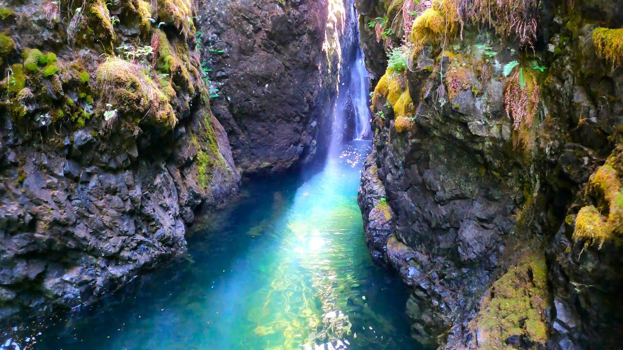 Vancouver Island's Ultimate Hidden Waterfall You Didn't Know Existed