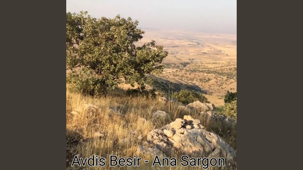 Ana Sargon