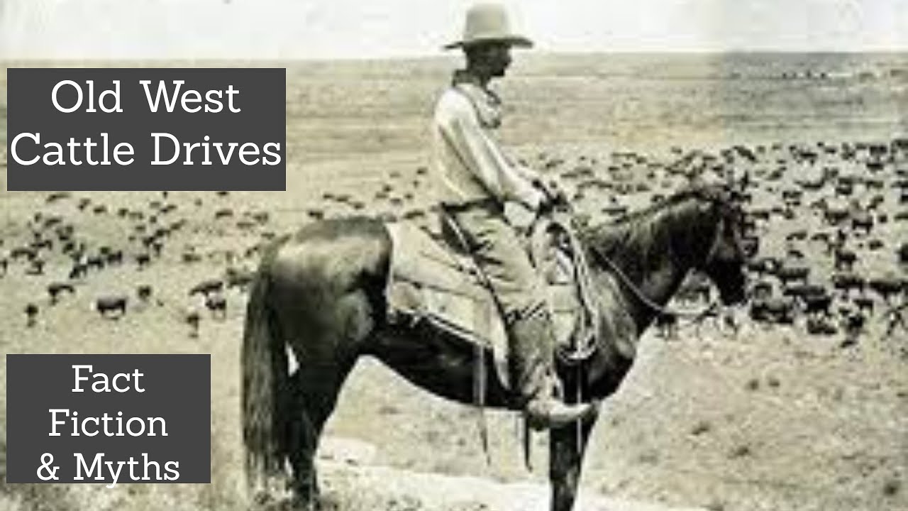 The Cattle Drives of the old west, myths and truths as told by Hollywood and historians
