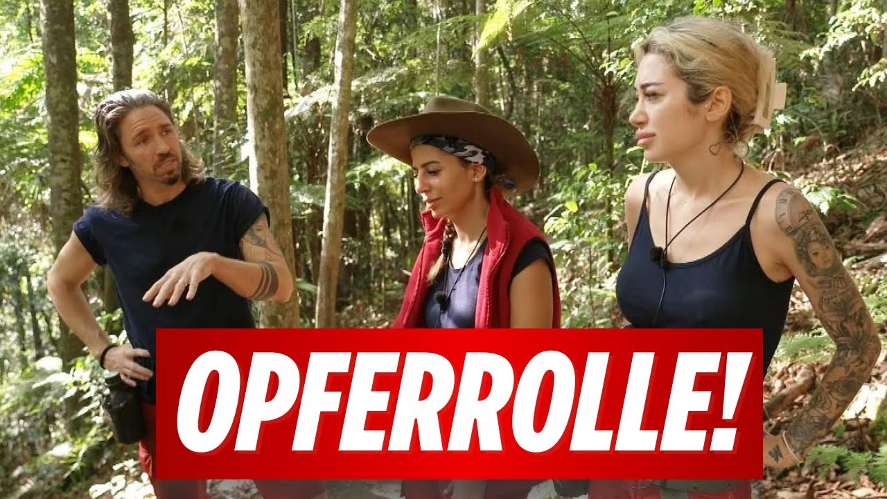 Gil Ofarim & sein verlogenes Spiel im Dschungelcamp! Eva Benetatou vs Ariel zu nervig?