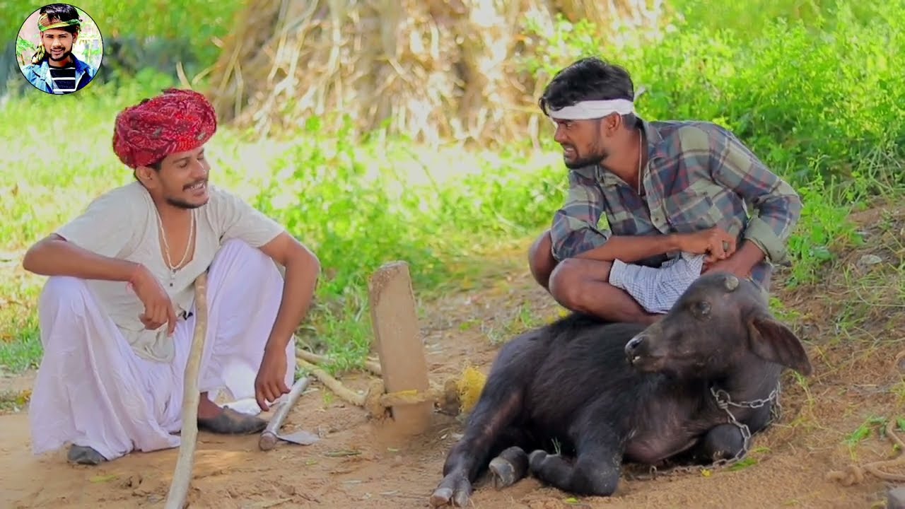 नाथ्यो मुर्गी चोर ll धाकड़ मुर्गी जोरदार कॉमेडी ll नवरात्रि स्पेशल Rajasthani Marwadi comedy