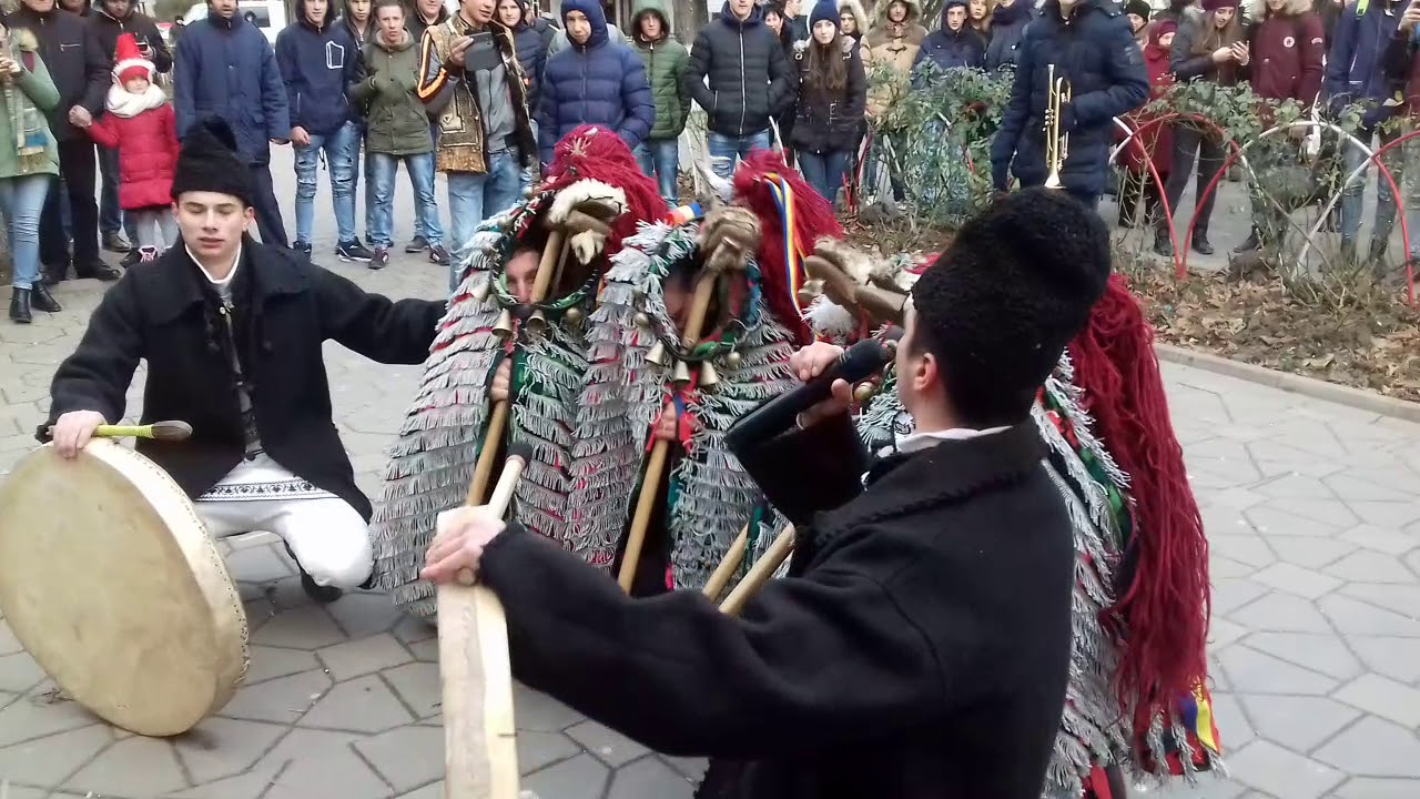 Caprele de la Mălini 2017