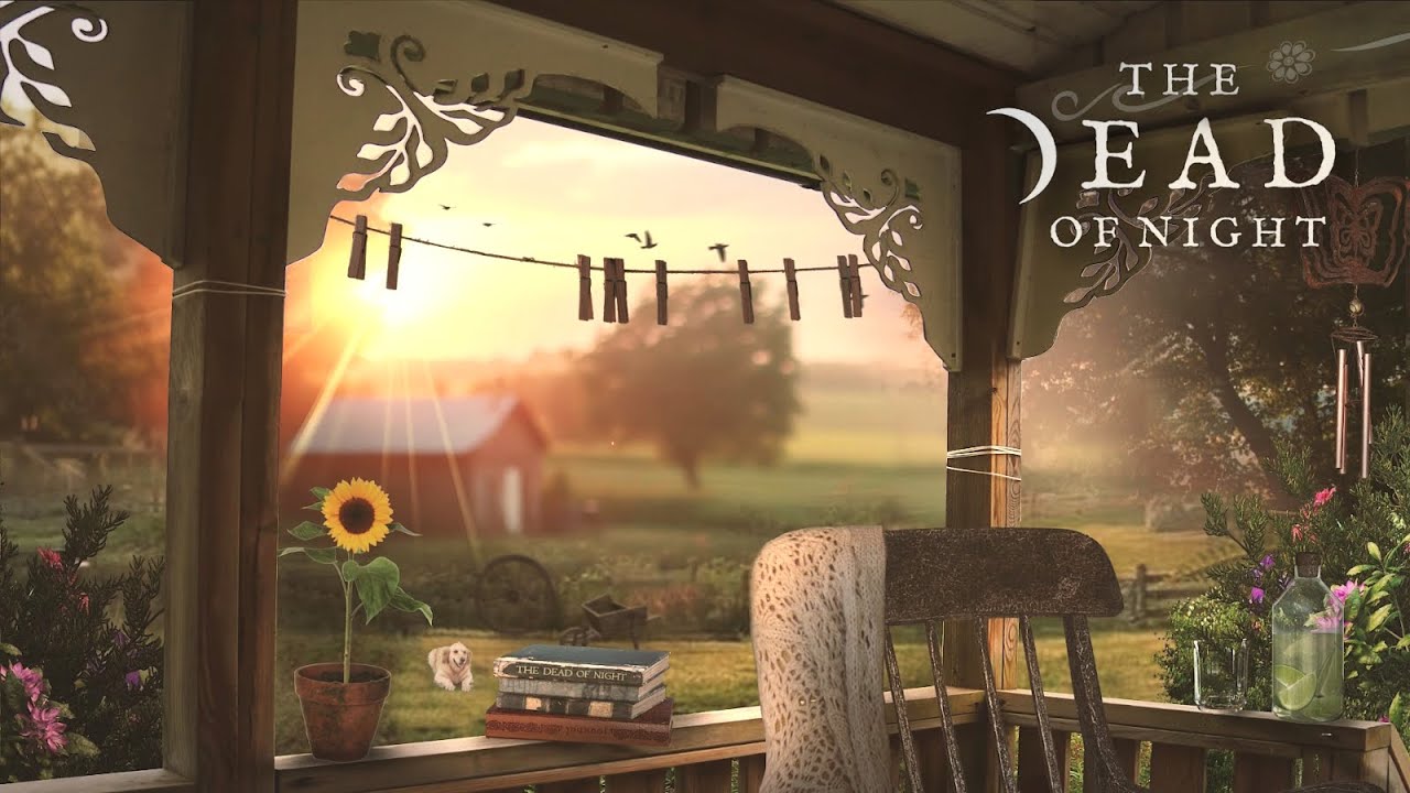 Summer Porch Ambience 🐱🌾🌞📚☕ | Relaxing Rural Sounds & Beautiful View w/ Day/Night Transition