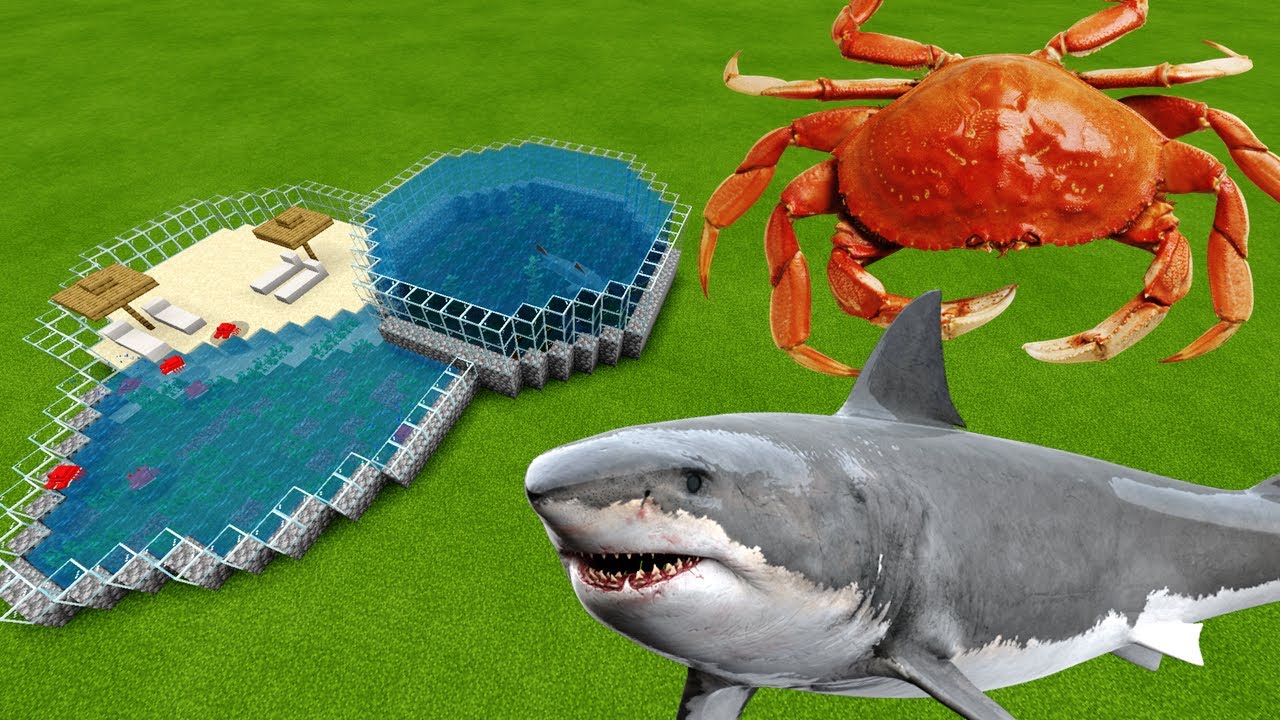 MCPE: How To Make a Crab & Shark Farm