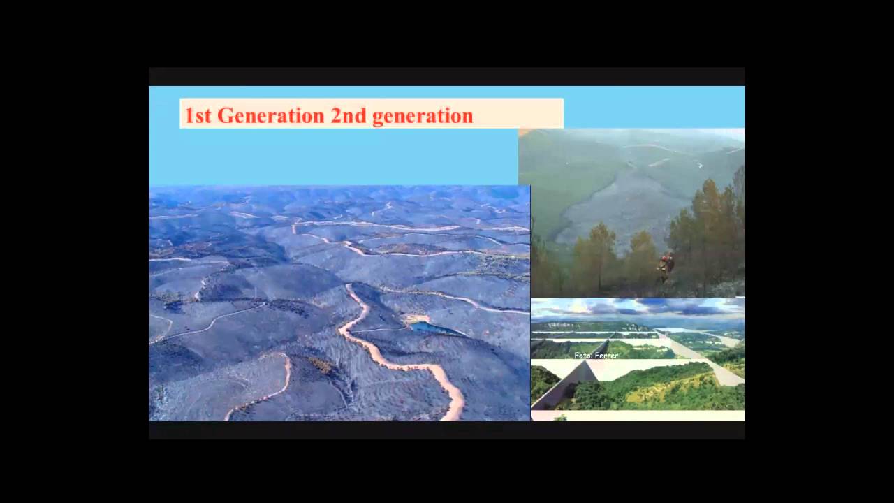 Webinar: Managing Uncertainty in WUI Fire Emergencies