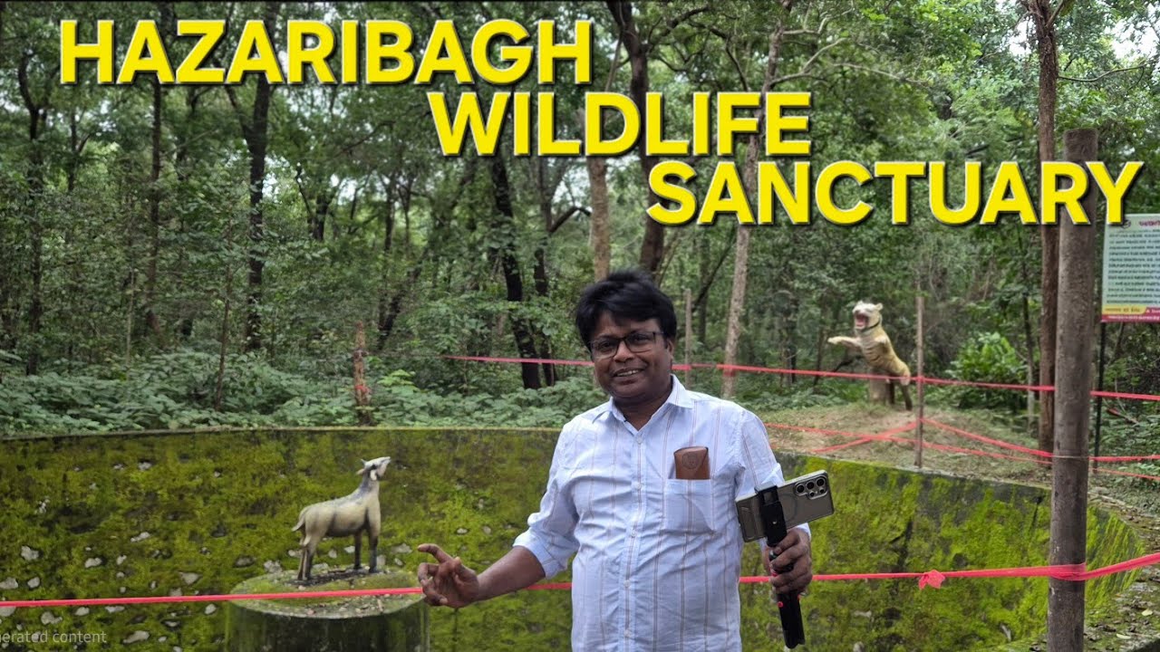 Hazaribagh Wildlife Sanctuary 🐒🦌🐅🐾🌴🪾🌲 #hazaribagh #forest #jharkhand #wildlife #jharkhandtourism 