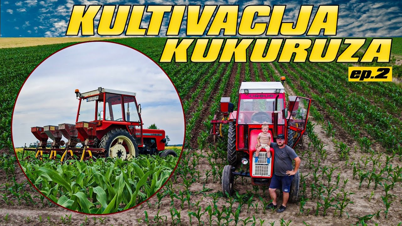 Zadnji ulazak u kukuruz? | Kultivacija i prihrana