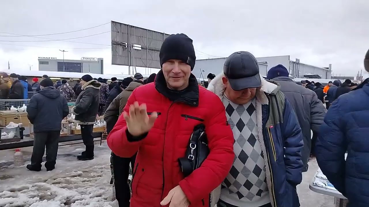 Ярмарка голубей г Тула. 15.02.26.