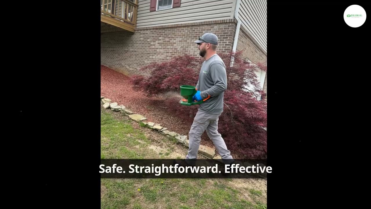 Pest Control Knoxville & Farragut | Ant Extermination & Cockroach Pest Control Near Me