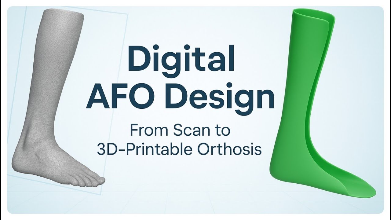 Step-by-Step Digital AFO Design | From Leg Scan to 3D Printable Orthosis