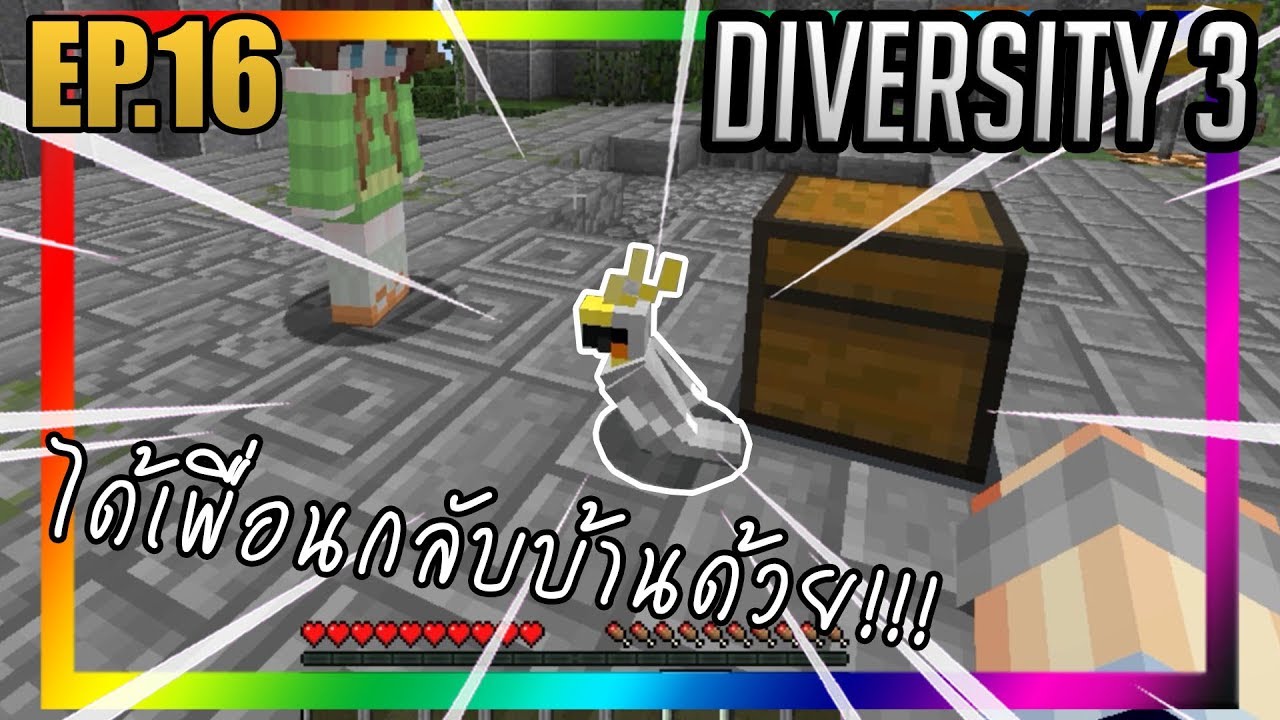 ได้เพื่อนใหม่กลับบ้านด้วย [Diversity 3] EP.16 w/PloyiinGz