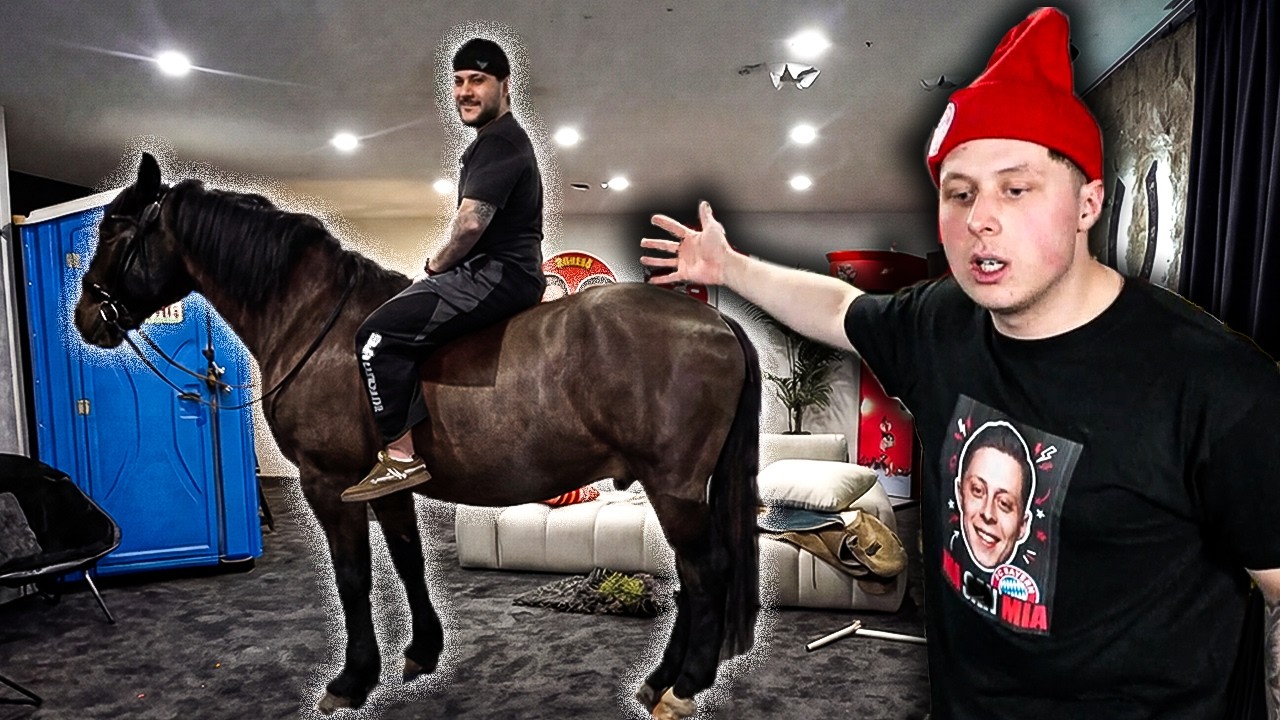 Wir Reiten Auf Pferden!