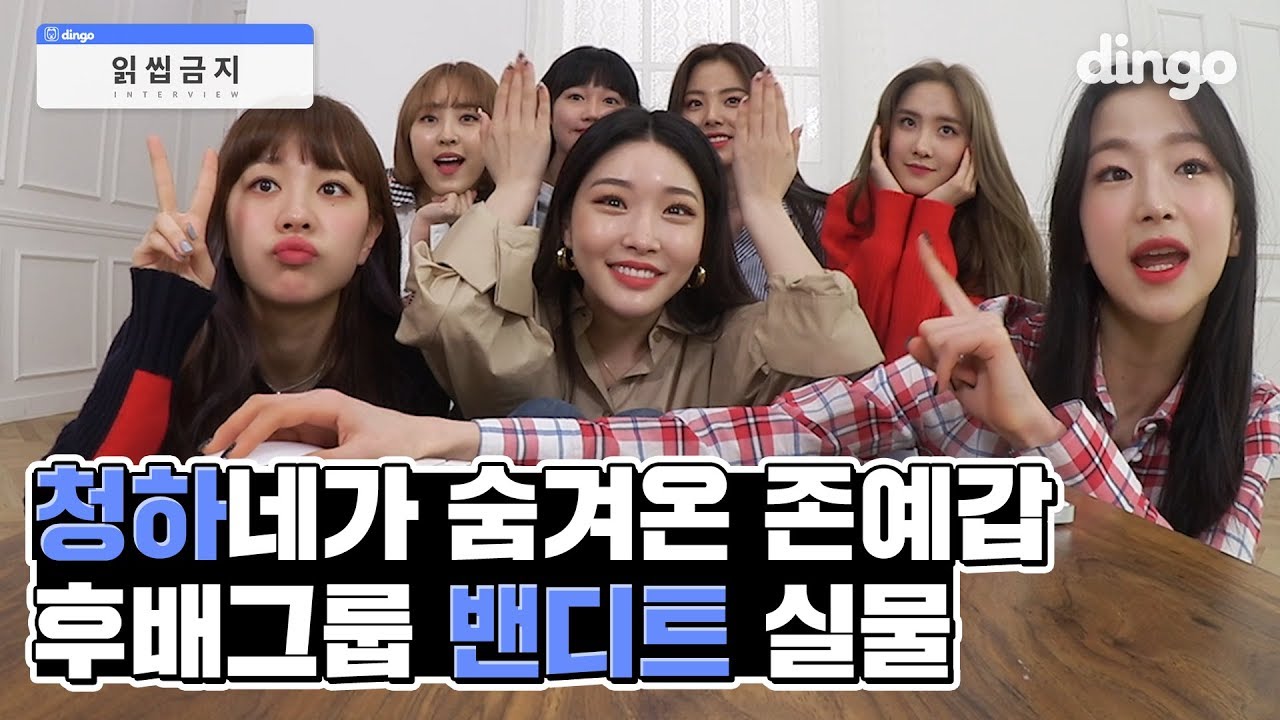 [ENG SUB] 신인 걸그룹 BVNDIT에 대해 알고 싶다면? | [Chat Interview] 청하&밴디트 편 | CHUNG HA | 읽씹금지 | 딩고뮤직
